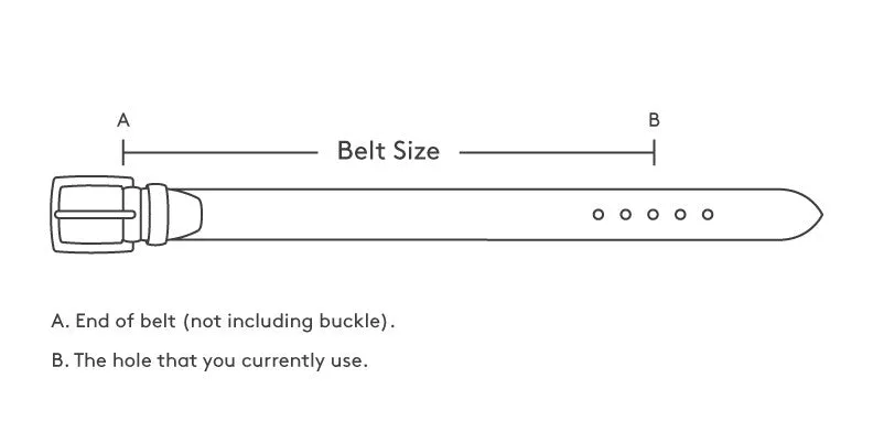 Dark Brown Western Cowboy Belt Ostrich Print Leather - Silver Buckle