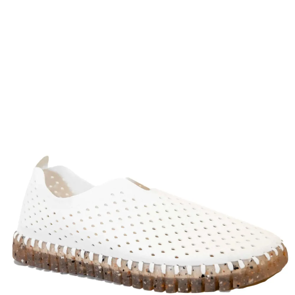 TULIP 3072 WHITE
