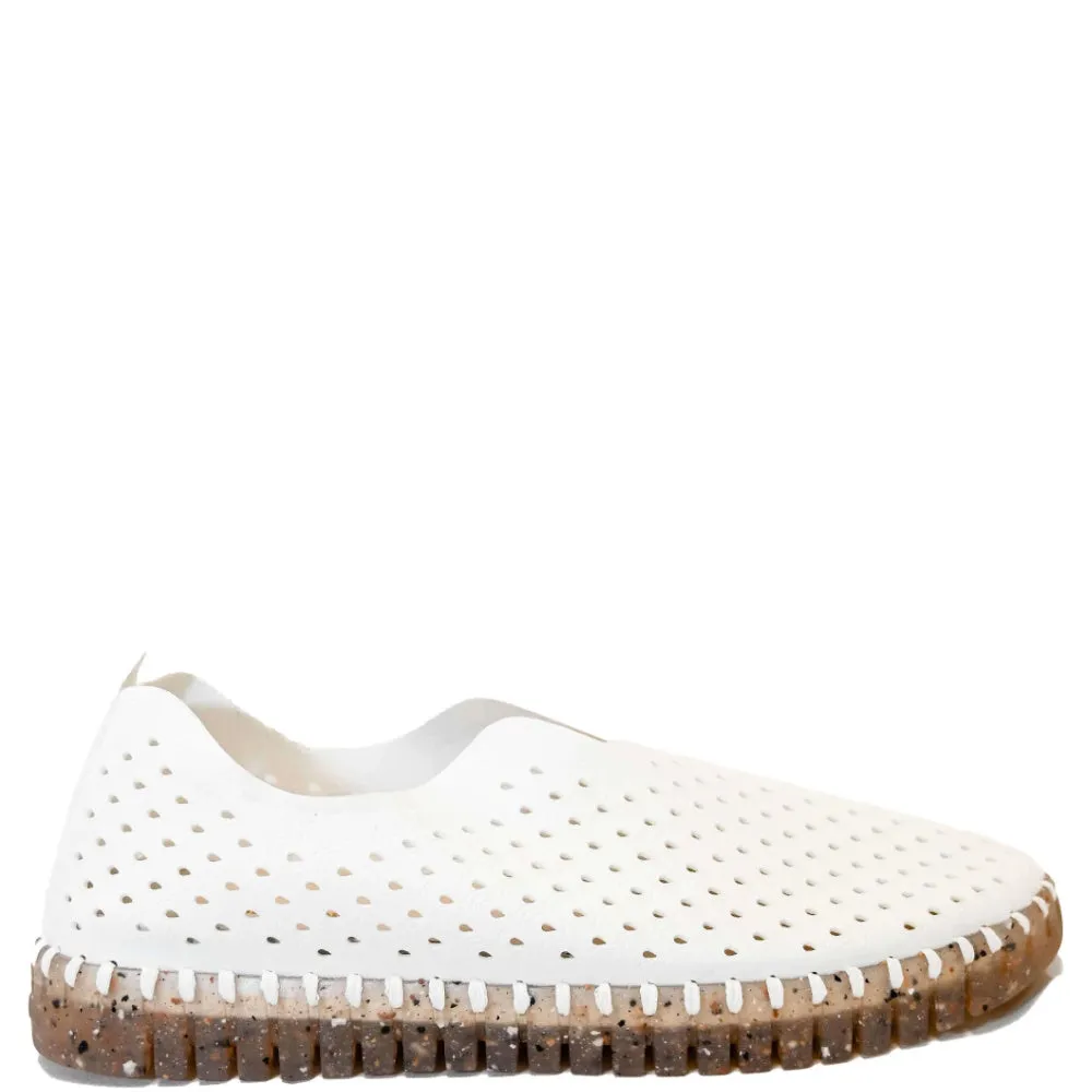 TULIP 3072 WHITE