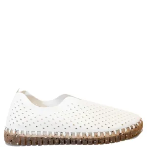 TULIP 3072 WHITE